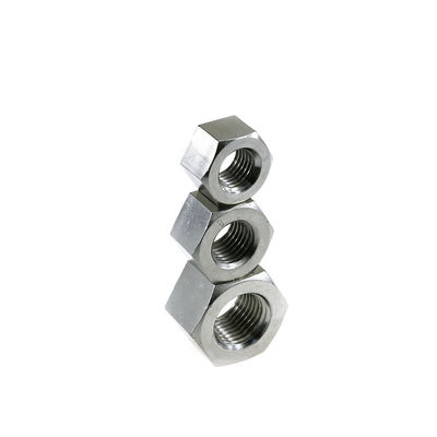 SS316 Hex Head Nuts